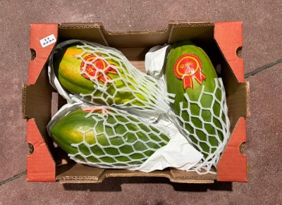 Foto Papaya Varietà Formosa Calibro 3 Origine Brasile Marchio Agc 3