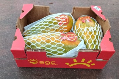 Foto Papaya Calibro 3 Origine Brasile Marchio Agc             1