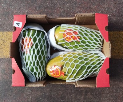 Foto Papaya Varietà Formosa Calibro  3/4 Origine Brasile Marchio  AGC 3