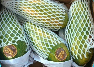 Foto Papaya Varietà Formosa Calibro 4 Origine Brasile Marchio Spreafico        2