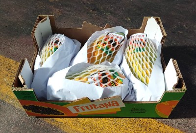 Foto Papaya Formosa Calibro 4 Origine Brasile Marchio Frutana 1