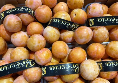 Foto Prugne Bianche Calibro 45+ Origine italia Marchio Brescia 2