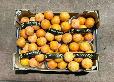 Foto Prugne Bianche Calibro 45+ Origine italia Marchio Brescia 3