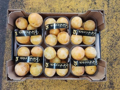 Foto Prugne Bianche Varietà Tc Sun  Calibro 50+  Origine Italia Marchio Brescia   3