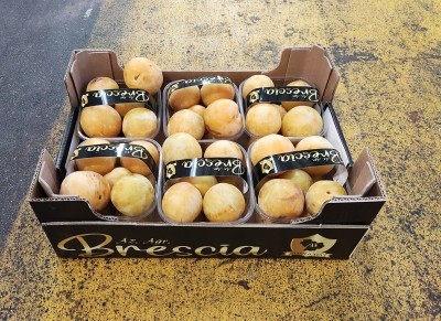 Foto Prugne Bianche  Origine Italia Marchio Brescia 1