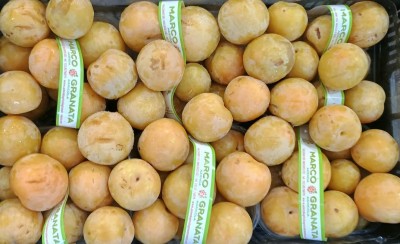 Foto Prugne Bianche Varietà Tc Sun Origine Italia Marchio Granata Marco   2