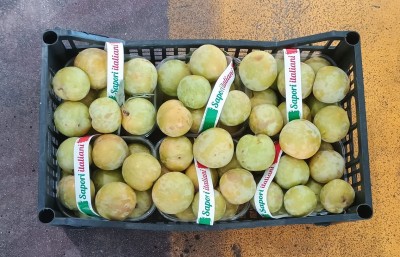 Foto Prugne Bianche Varietà T.c. Sun Origine Italia Marchio Pirozzi  3
