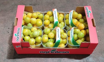Foto Prugne Bianche Origine Italia Marchio Agrintesa 1