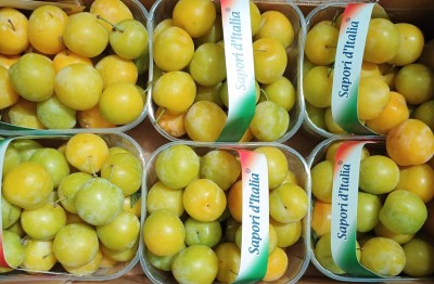 Foto Prugne Bianche Origine Italia Marchio Agrintesa 2