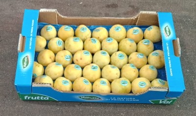 Foto Prugne Bianche Calibro 55/60 Origine Italia Marchio Valfrutta     1