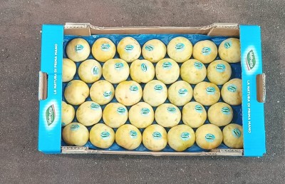Foto Prugne Bianche Calibro 55/60 Origine Italia Marchio Valfrutta     3