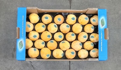 Foto Prugne Bianche Lavorazione In Padella Varietà T.C Sun Calibro 55/60 Origine Italia Marchio Valfrutta 3
