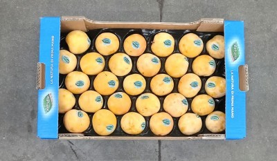 Foto Prugne Bianche Lavorazione In Padella Calibro 55/60 Origine Italia Marchio Valfrutta  3