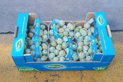 Foto Prugne Bianche Varietà Regina Claudia Calibro 30/35 Origine Italia Marchio Valfrutta 1
