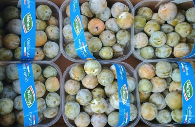 Foto Prugne Bianche Varietà Regina Claudia Calibro 30/35 Origine Italia Marchio Valfrutta 2