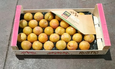 Foto Prugne Bianche Calibro 55+ Origine Spagna Marchio Raimondo  1