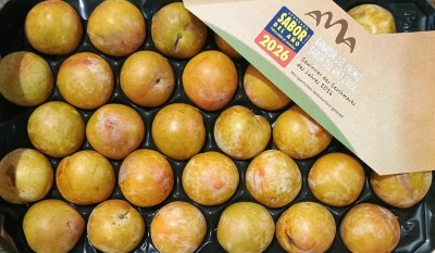 Foto Prugne Bianche Calibro 55+ Origine Spagna Marchio Raimondo  2