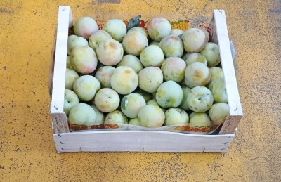 Foto Prugne Bianche Origine Italia Marchio Maglione 1