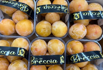 Foto Prugne Bianche Varietà Tc Sun Calibro 50+ Origine Italia Marchio Brescia 2