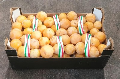 Foto Prugne Bianche Varietà T.c Sun Calibro 45/55 Origine Italia Marchio Brescia      1