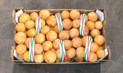 Foto Prugne Bianche Varietà T.c Sun Calibro 45/55 Origine Italia Marchio Brescia      3