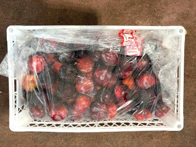 Foto Prugne Nere Varietà Angeleno Calibro 78 Origine Chile Marchio Agricola Gloria  2