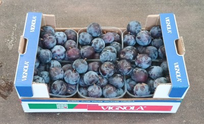 Foto Prugne Nere Varietà Black Magic Calibro 45+ Origine Italia Marchio Vignola 1