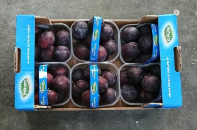 Foto Prugne Nere Varietà Felisio Calibro 40/45 Origine Italia Marchio Valfrutta  2