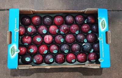 Foto Prugne Varietà Angeleno Calibro 50/55 Origine Italia Marchio Valfrutta 3