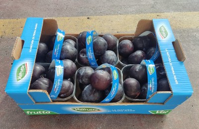 Foto Prugne Nere Calibro 50+ Origine Italia Marchio Valfrutta 1