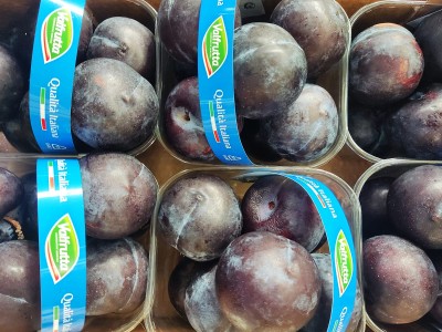 Foto Prugne Nere Calibro 50+ Origine Italia Marchio Valfrutta 2