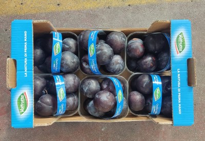 Foto Prugne Nere Calibro 50+ Origine Italia Marchio Valfrutta 3