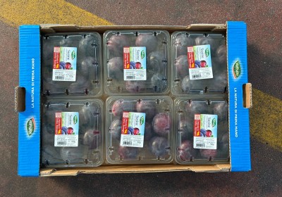 Foto Prugne Nere Angeleno Confezionate Calibro 60/65  Origine Italia Marchio Valfrutta 2