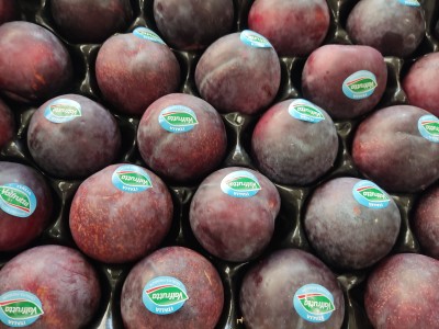 Foto Prugne Angeleno Calibro 60/65 Origine Italia Marchio Valfrutta  2