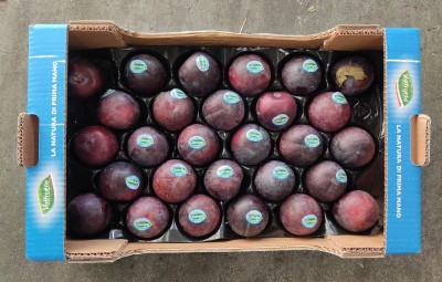 Foto Prugne Angeleno Calibro 60/65 Origine Italia Marchio Valfrutta  3