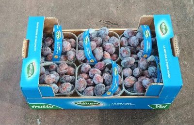 Foto Prugne Varietà Stanley Calibro 30+ Origine Italia Marchio Valfrutta 1