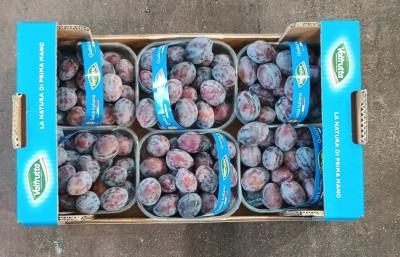 Foto Prugne Varietà Stanley Calibro 30+ Origine Italia Marchio Valfrutta 3