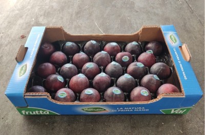 Foto Prugne Nere Varietà Angeleno Calibro 65/70 Origine Italia Marchio Valfrutta  1