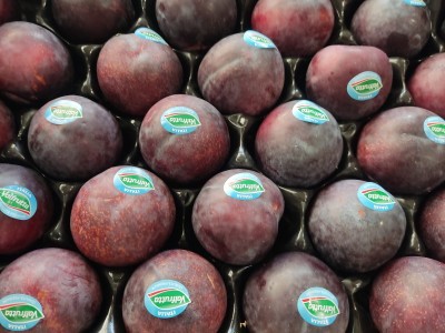 Foto Prugne Nere Varietà Angeleno Calibro 65/70 Origine Italia Marchio Valfrutta  2