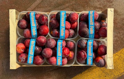 Foto Prugne Nere Angeleno Calibro 50+ Origine Italia Marchio Anronelli   3