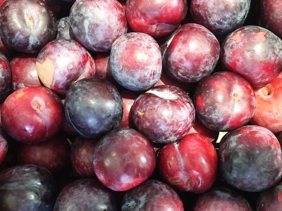 Foto Prugne Varietà Angeleno Calibro 50+ Origine Italia Marchio Alegra 2