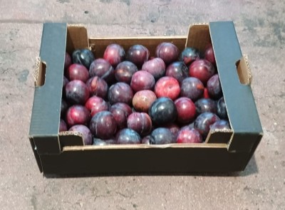 Foto Prugne Nere Varietà Angeleno Calibro 40+ Origine Italia Marchio Cartone Nero  1