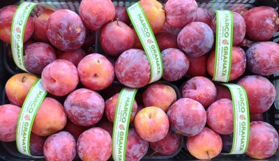 Foto Prugne Rosse Rinfusa  Varietà Fortuna  Origine Italia Marchio Granata Marco 2
