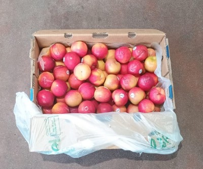 Foto Prugne Rosse Calibro 48 Origine Cile Marchio Spreafico 1