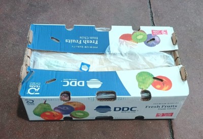 Foto Prugne Rosse Calibro 48 Origine Cile Marchio Spreafico 3