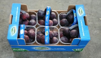 Foto Prugne Rosse Calibro 45+ Origine Italia Marchio Valfrutta    1