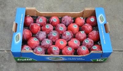 Foto Prugne Rosse Calibro 65/70 Origine Italia Marchio Valfrutta       1