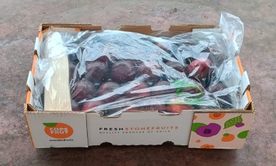 Foto Prugne Rosse Origine Chile Marchio One Fruit  1