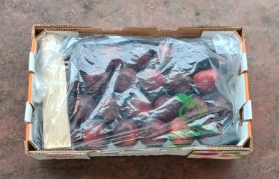 Foto Prugne Rosse Origine Chile Marchio One Fruit  3