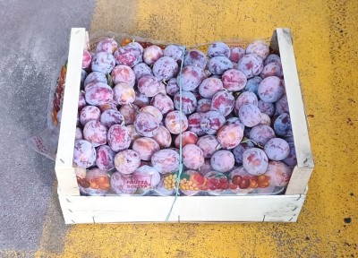Foto Prugne Fiocco Origine Italia Marchio Frascogna 1
